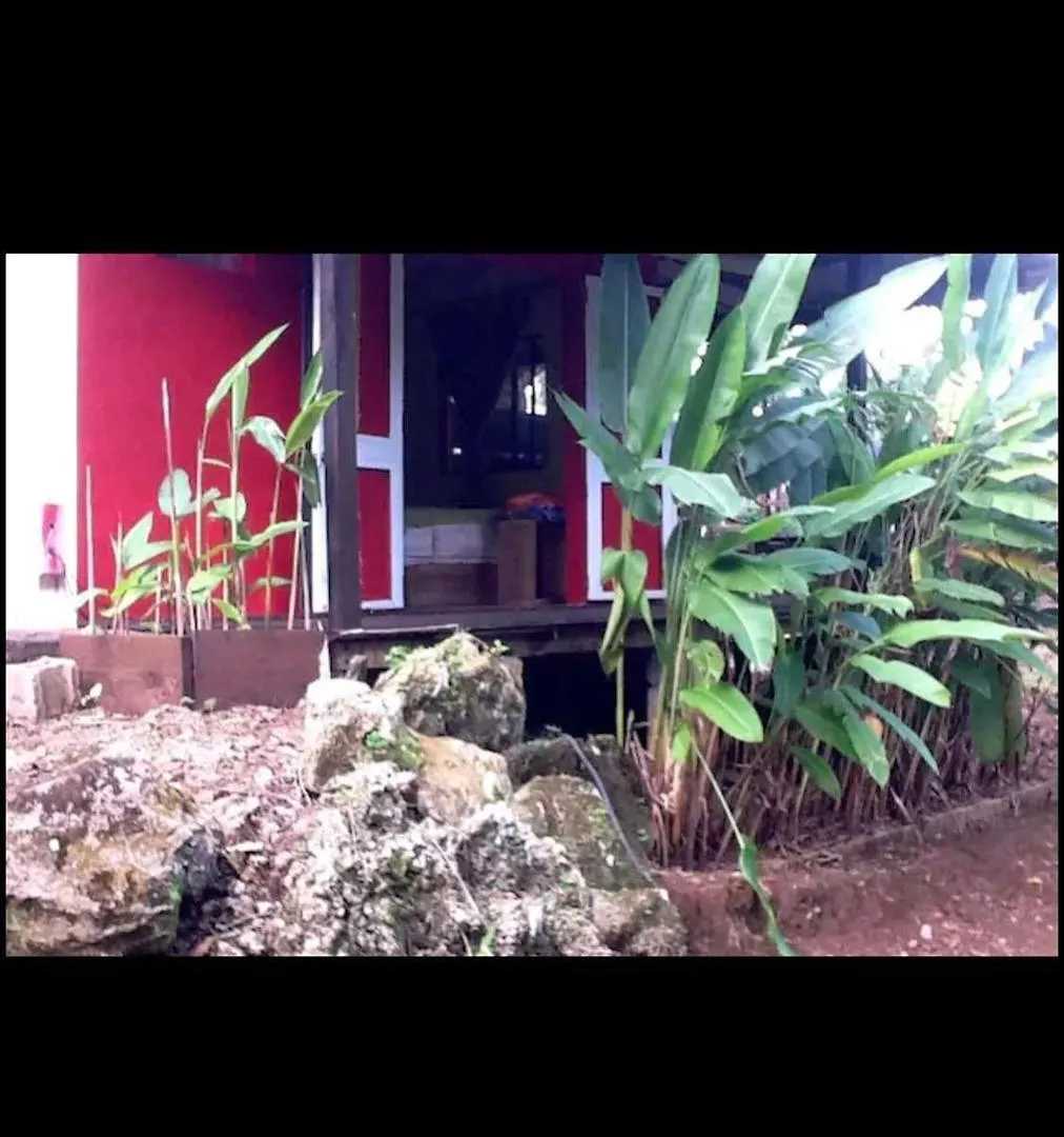 Carpe Diem Las Terrenas Hotel
